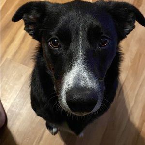 Meet your Posher, Logan